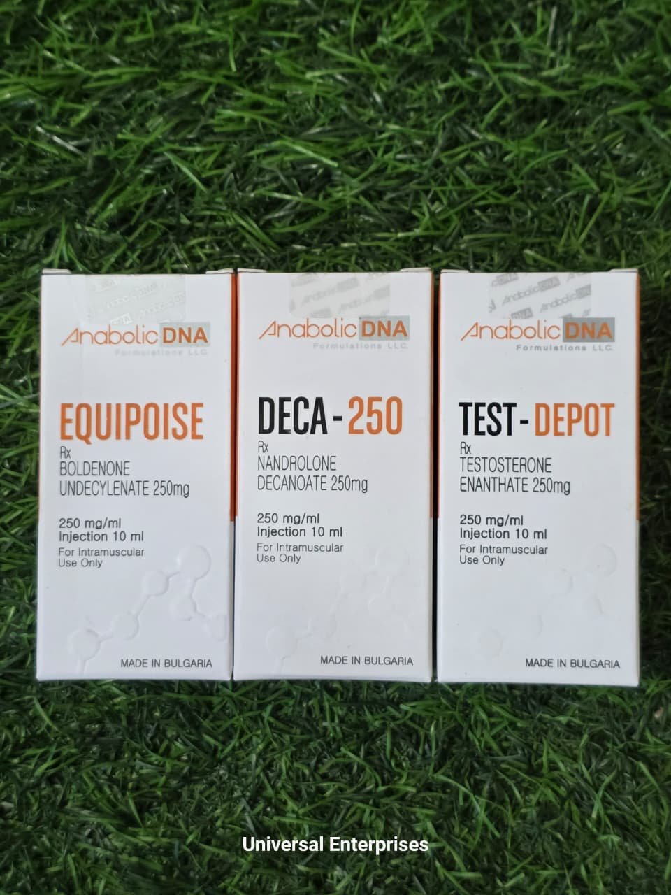 WhatsApp Image 2026-02-27 at 5.51.33 PM (1)