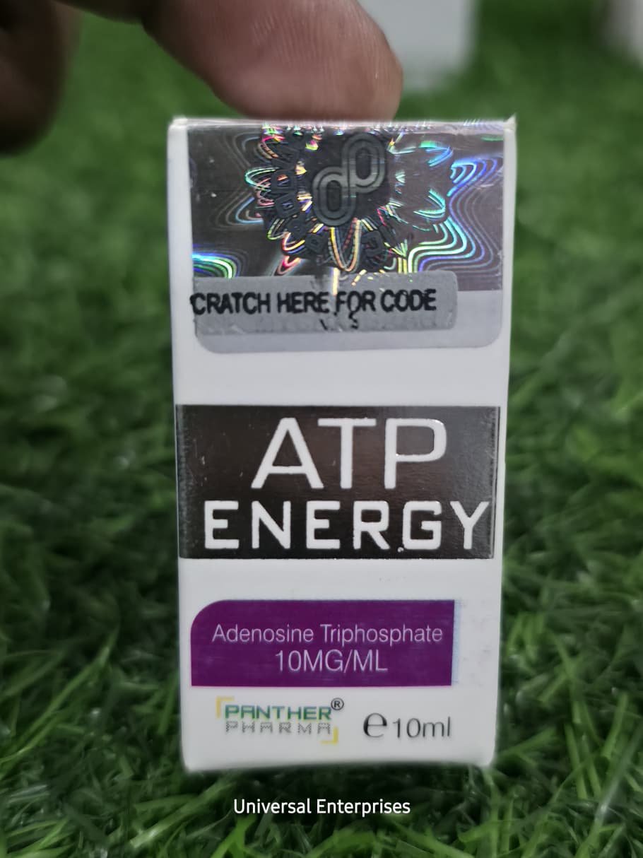 WhatsApp Image 2026-02-27 at 5.51.59 PM (1)